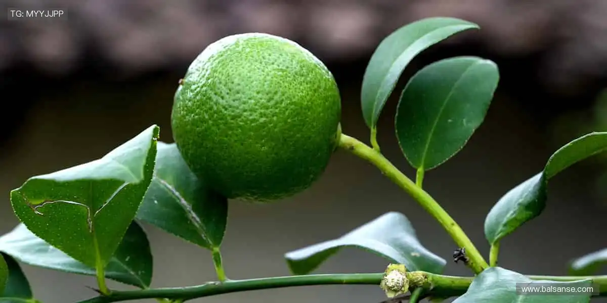 运动装备，点燃你的热爱！🔥👟